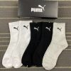 grey-black-white-grey